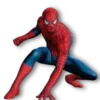 🕸️